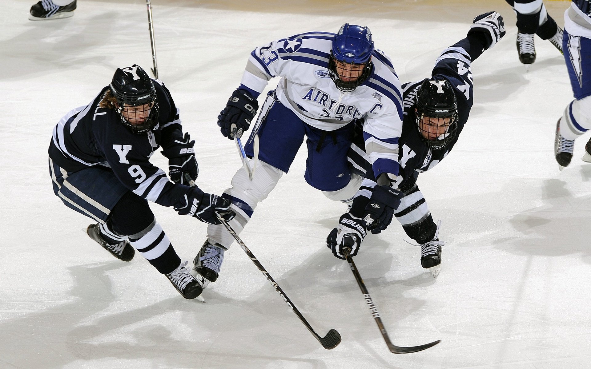 世界短道速滑教练能力认证第57期报名通道开启，2021年短道速滑教练是谁